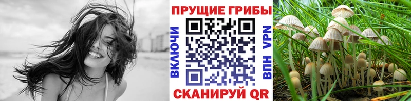 Галлюциногенные грибы GOLDEN TEACHER  Купить  Лакинск 